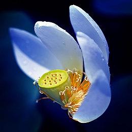 《索尼克:未知边境》销量远超世嘉预期 未来新游戏将投入更多资金